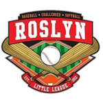 roslyn-little-league-challenger-division-transformed